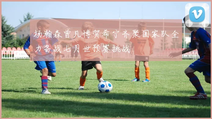 杨瀚森曾凡博贺希宁齐聚国家队全力备战七月世预赛挑战