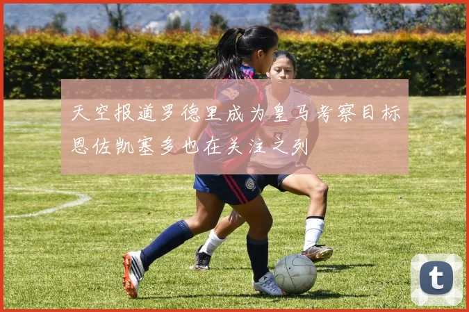 天空报道罗德里成为皇马考察目标恩佐凯塞多也在关注之列